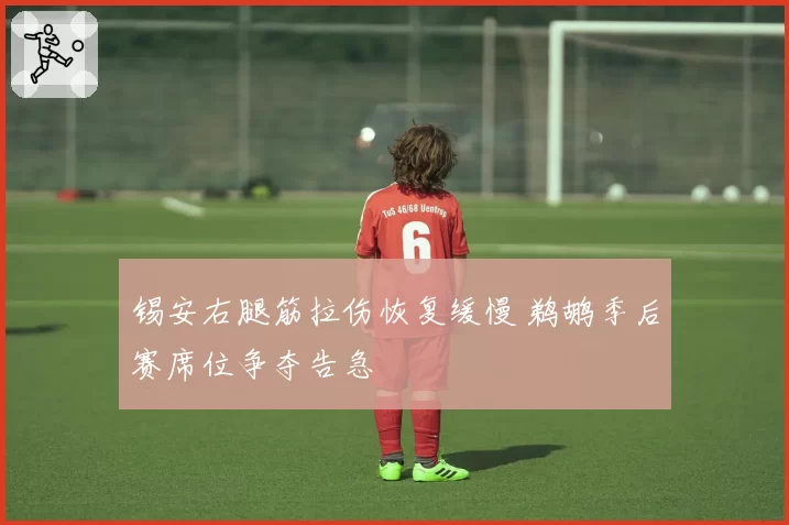 锡安右腿筋拉伤恢复缓慢 鹈鹕季后赛席位争夺告急