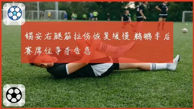 锡安右腿筋拉伤恢复缓慢 鹈鹕季后赛席位争夺告急