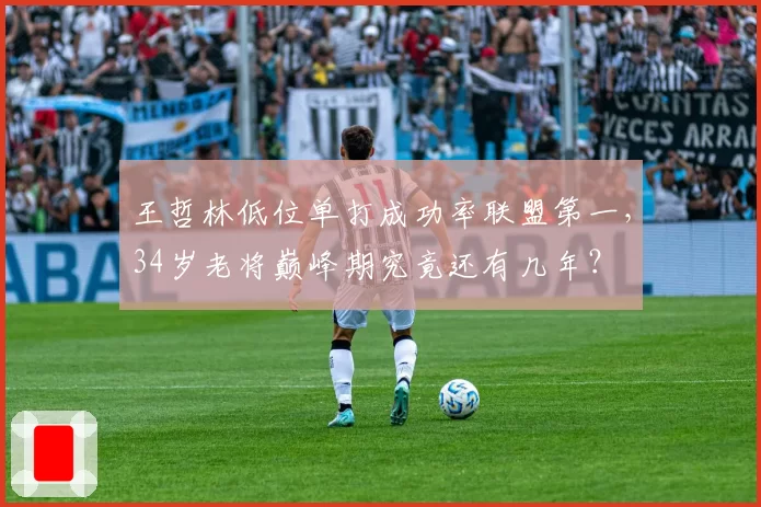 王哲林低位单打成功率联盟第一，34岁老将巅峰期究竟还有几年？