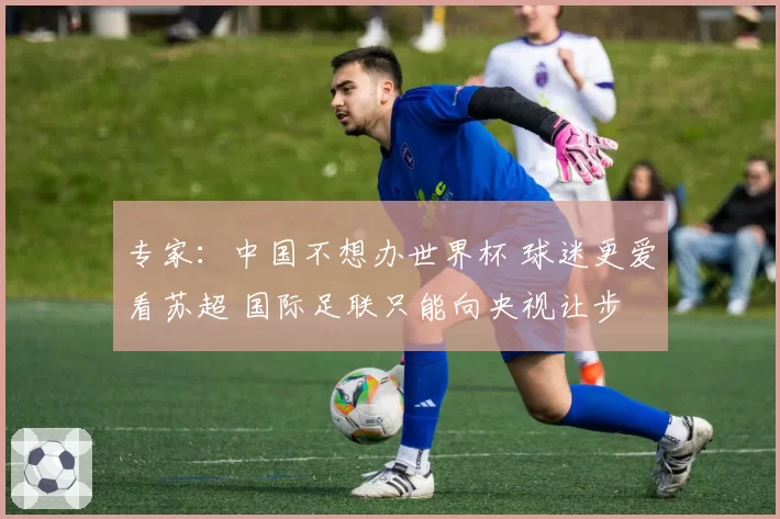 专家：中国不想办世界杯 球迷更爱看苏超 国际足联只能向央视让步