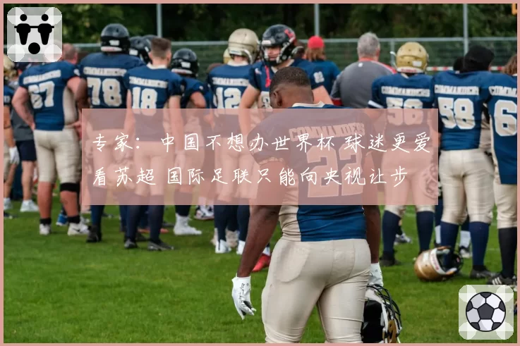 专家：中国不想办世界杯 球迷更爱看苏超 国际足联只能向央视让步