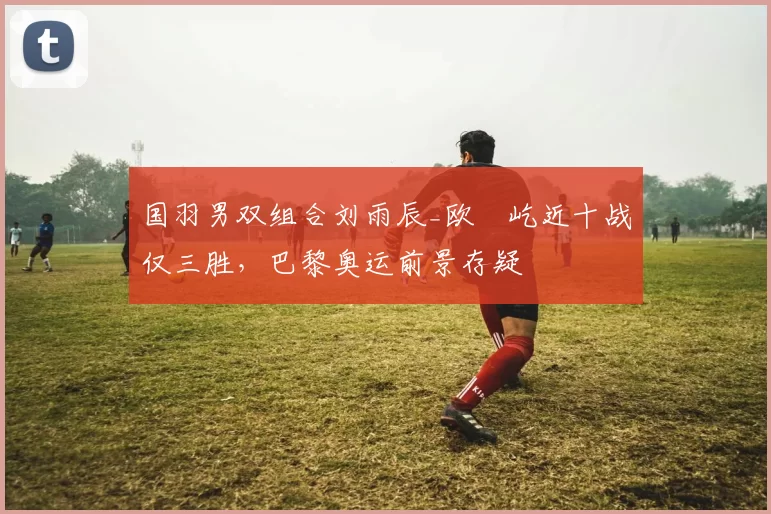 国羽男双组合刘雨辰_欧烜屹近十战仅三胜，巴黎奥运前景存疑
