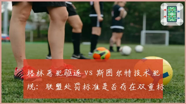 格林恶犯驱逐 vs 斯图尔特技术犯规：联盟处罚标准是否存在双重标准？